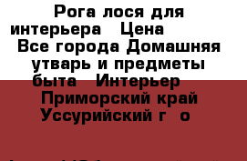 Рога лося для интерьера › Цена ­ 3 300 - Все города Домашняя утварь и предметы быта » Интерьер   . Приморский край,Уссурийский г. о. 